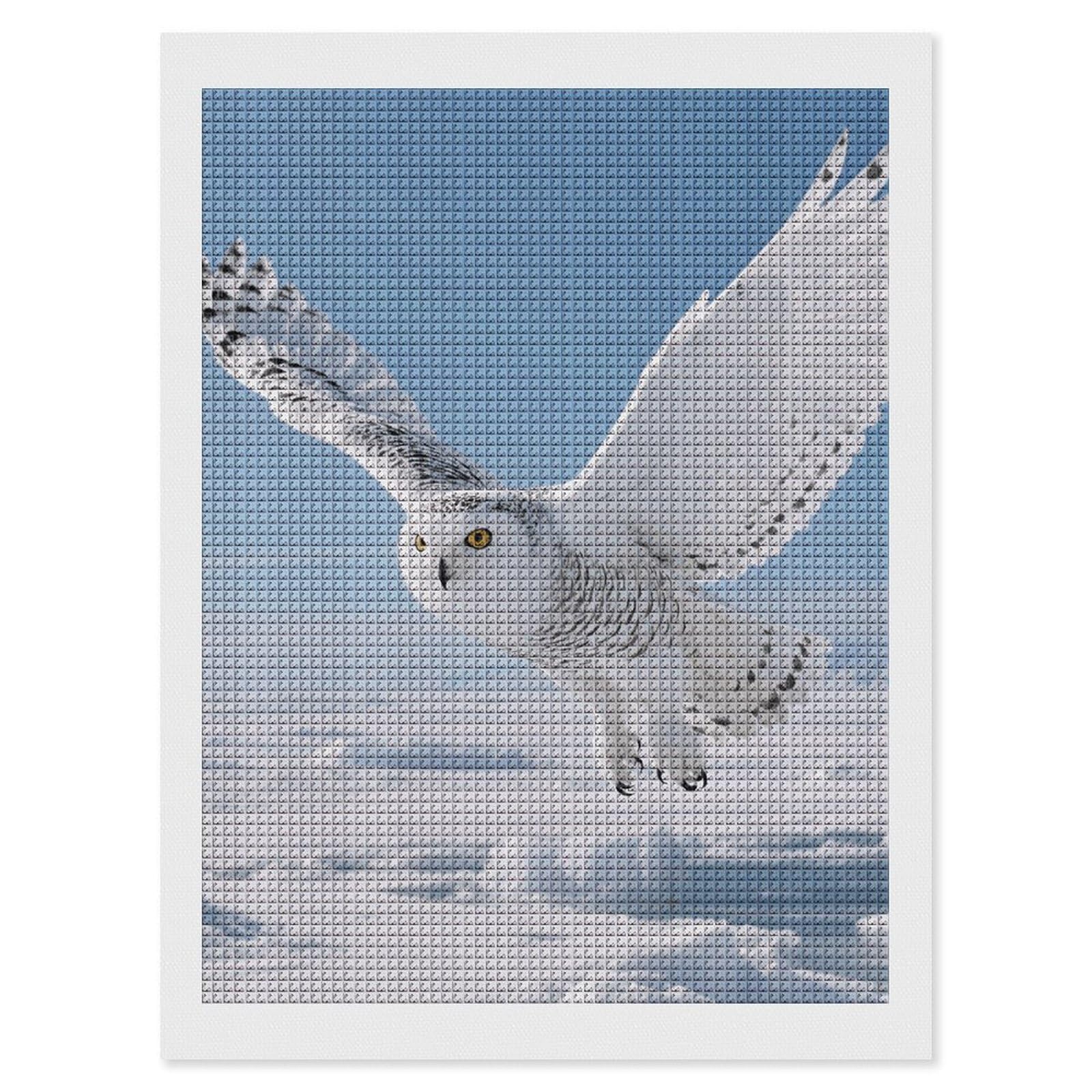 FodPand White Snowy Owl 5D Diamond Painting Kits for Adults Beginners Full Drill Square Diamond Dots Pictures Gem Art Supplies for Home Wall Room Decoration DIY Craft Set Gift 12X16