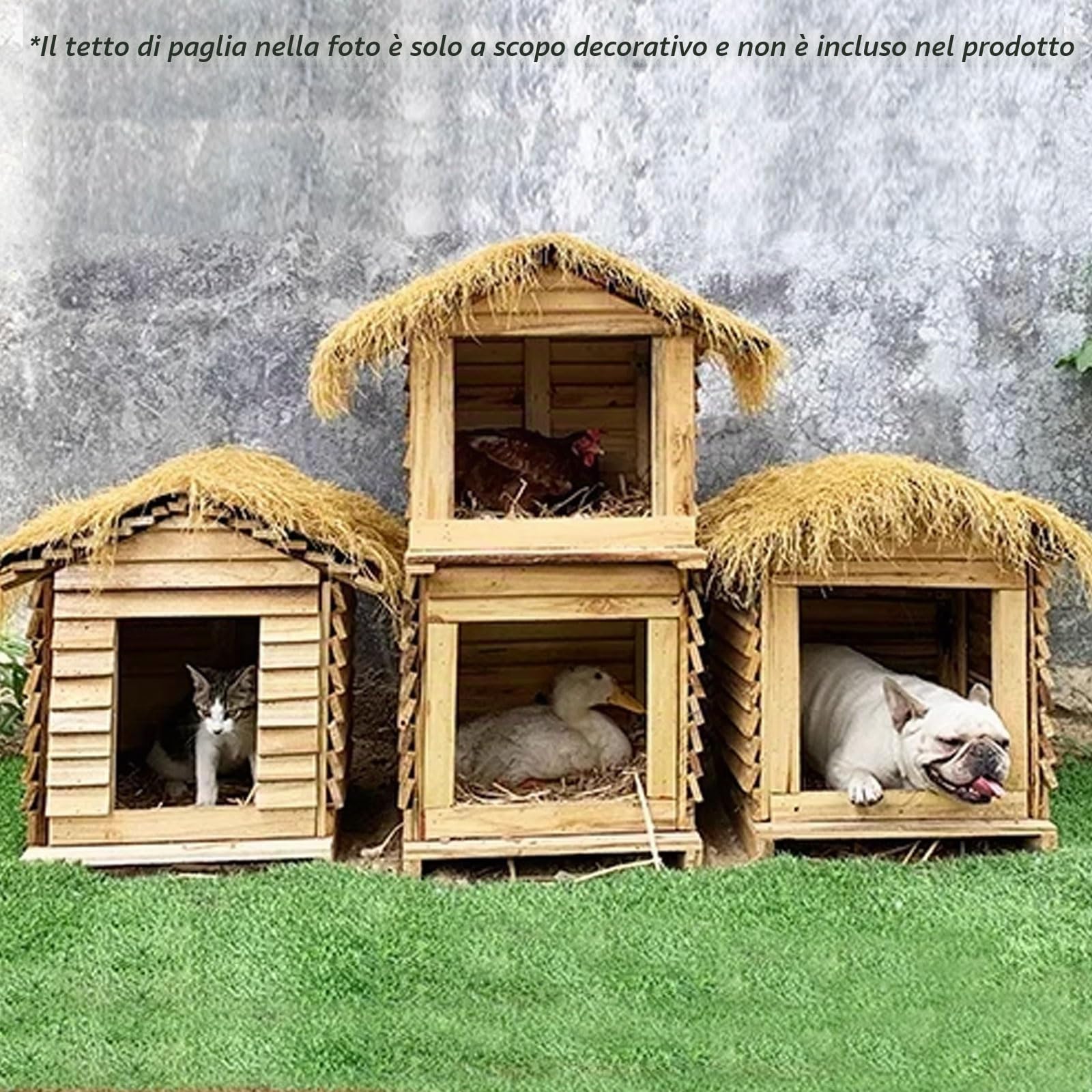 Pollaio in Legno Da Esterno Gabbia for Anatre Con Tetto Casetta Galline Porta Apribile Utilizzabile Sia All'interno Che All'esterno for Piccoli Animali, Conigli(30 * 30 * 43cm)