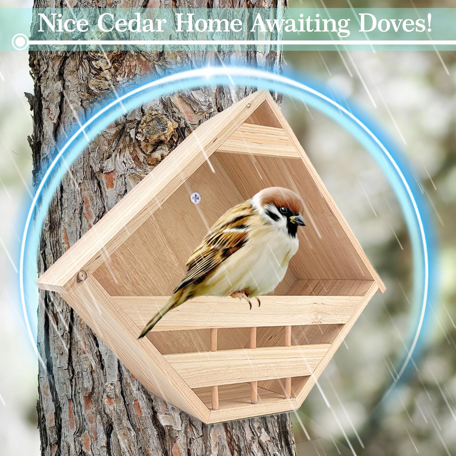 Amazon.co.jp: 鳩の巣箱オープン喪の鳩の巣箱木製鳥小屋、ハト鳥