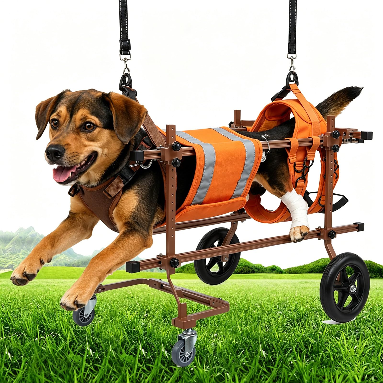 Fauteuil roulant pour chien mobile à 4 roues pour balades et aide à la marche 12-32kg