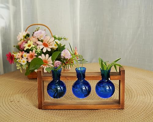 Miniatura 18 de Kingbuy Terrario para plantas con soporte de madera, maceta de vidrio, propagación de escritorio, florero de 3 bombillas, soporte de metal, estante