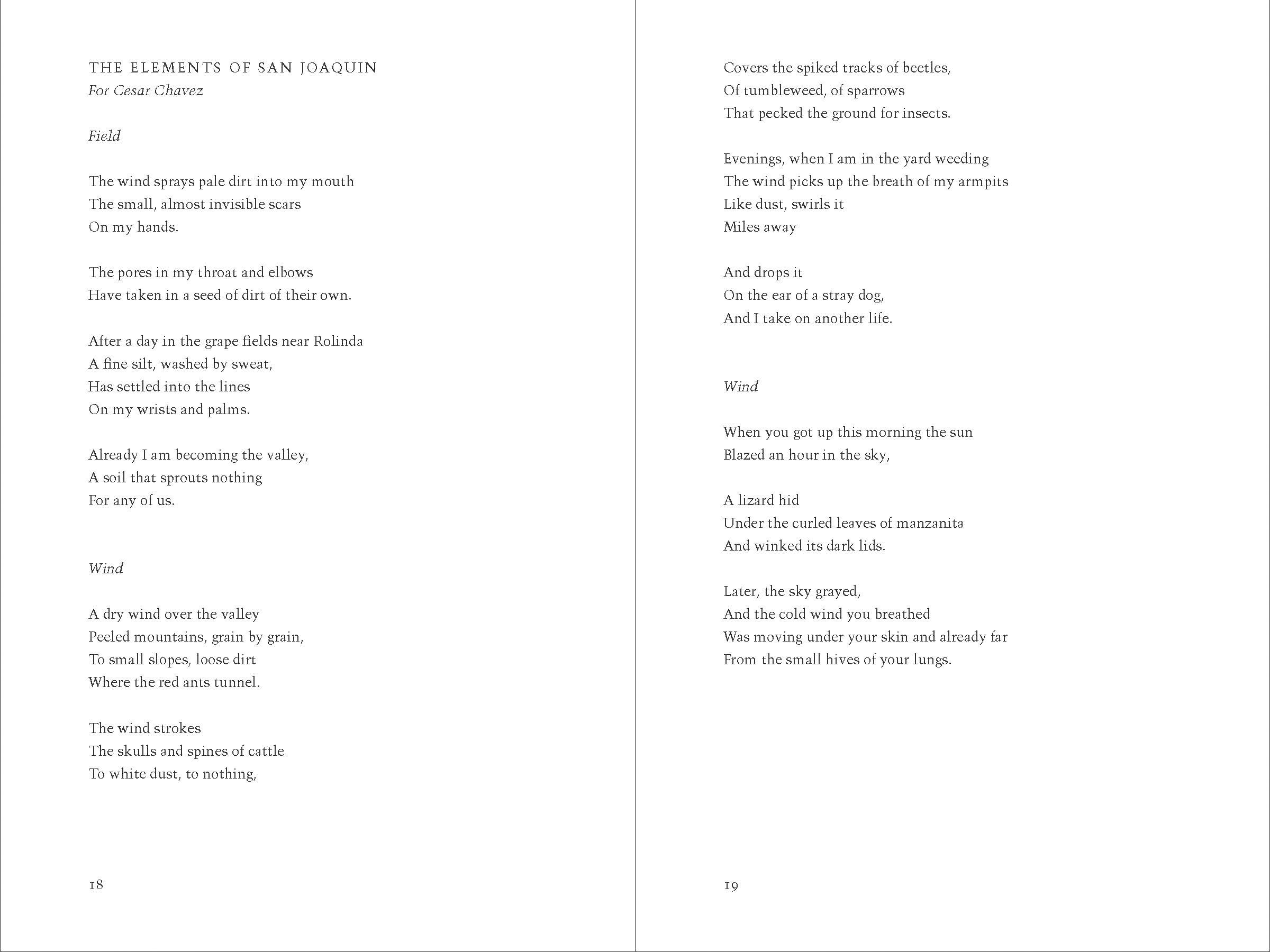 The Elements of San Joaquin: poems (Chicano Poetry, Poems from Prison, Poetry Book) - Image 4