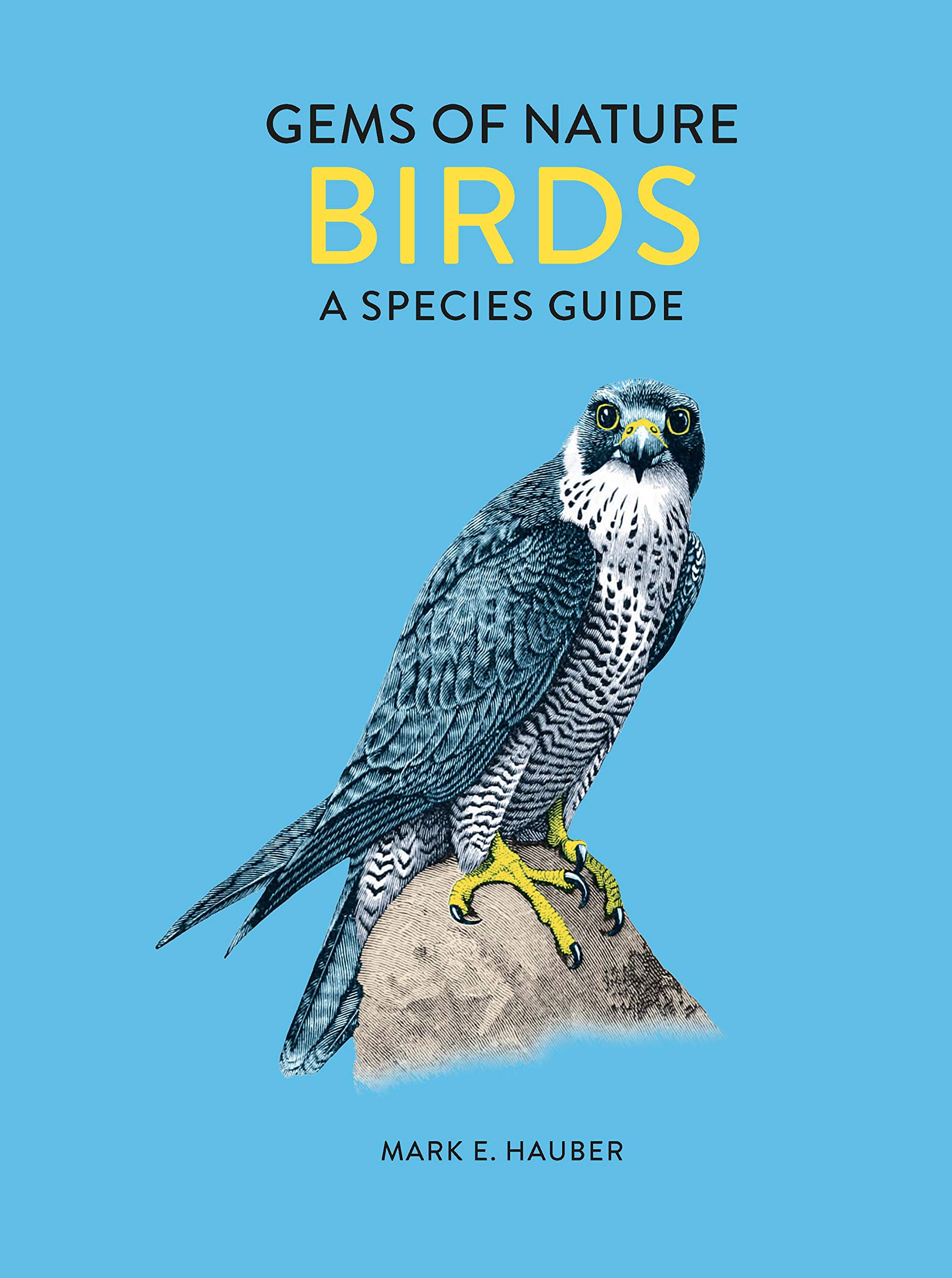 Buy Birds: A Species Guide (Gems of Nature) — BookShops.in