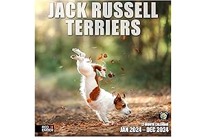 Magnificent Scottish Terriers 2024 Wall Calendar