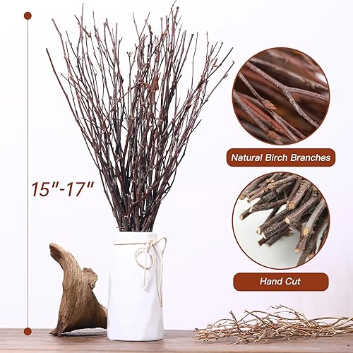 Miniatura 3 de 40 ramitas de abedul secas reales Ramas de abedul decorativas naturales de 17 pulgadas para jarrón, centro de mesa, palos para manualidades de