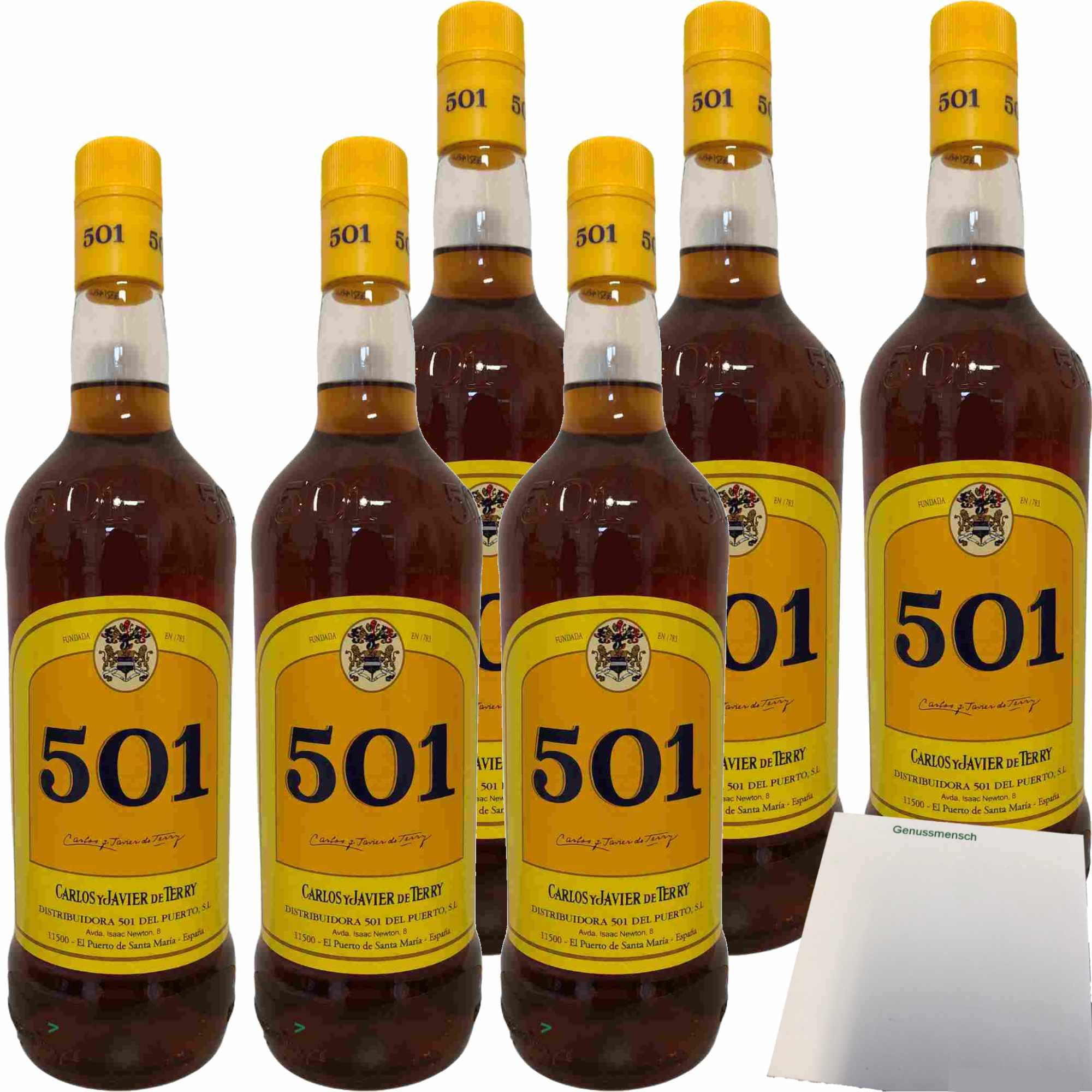 Carlos y Javier de Terry 501 30% 6er Pack (6x1l Flasche Brandy aus Spanien) + usy Block