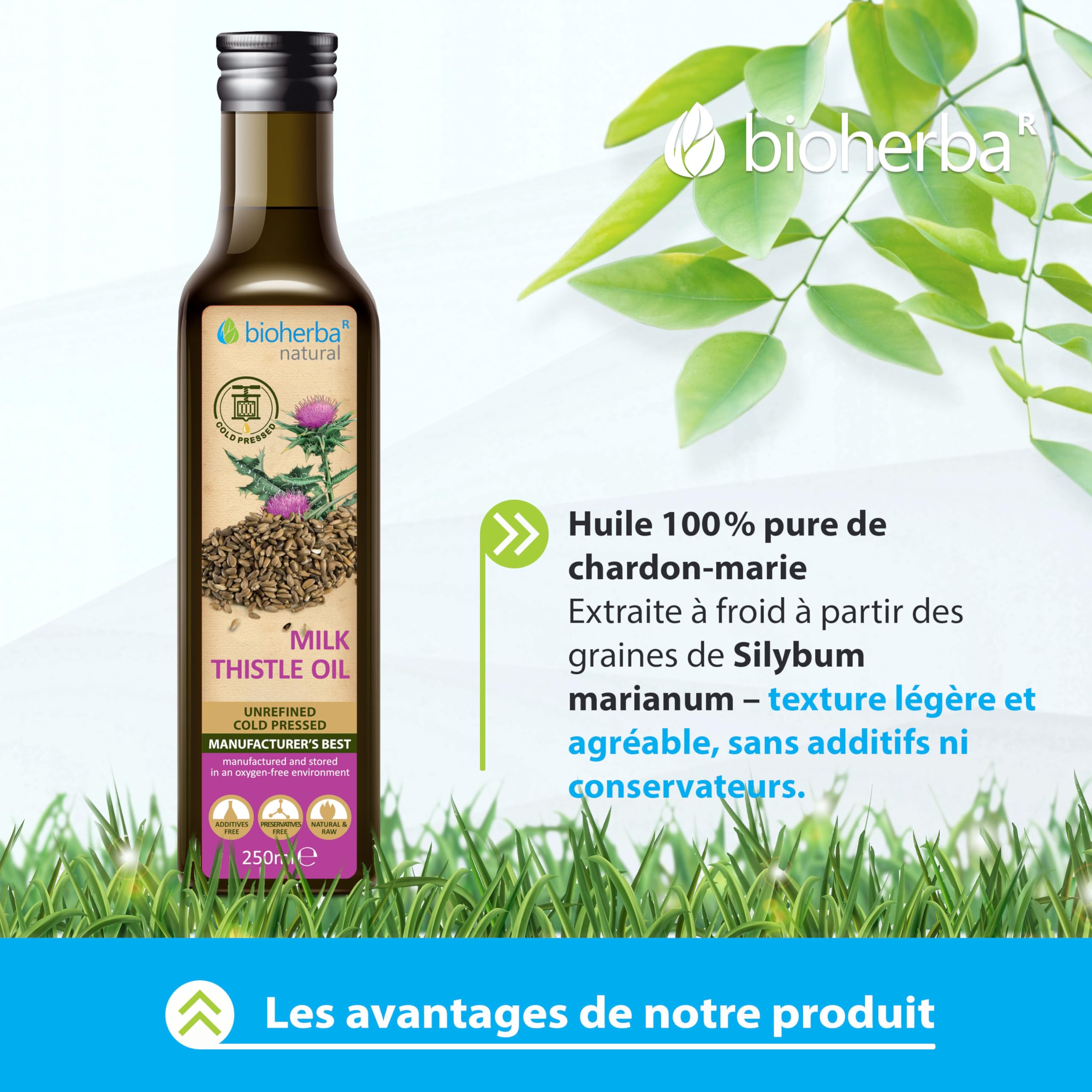 Huile de Chardon-Marie 250 ml – Pressée à Froid – Huile Végétale Naturelle pour Soins de la Peau, Massage et Usage Culinaire – BIOHERBA