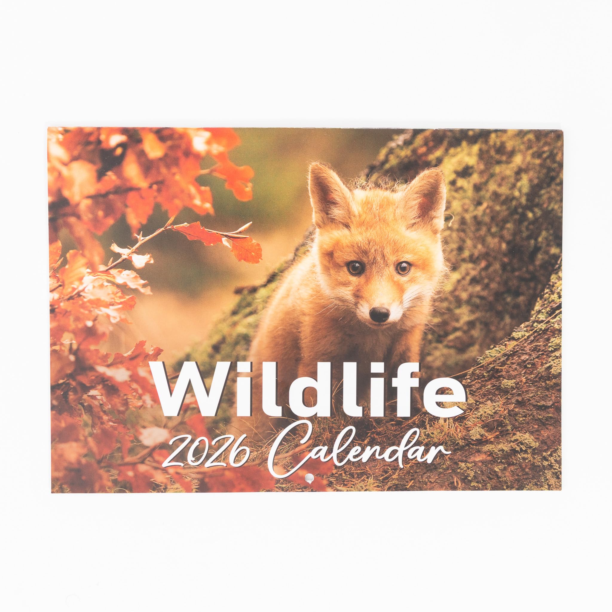 evelay 2026 A4 British Wildlife Calendar Month to View A3 When Open Wall Planner Family Home Office (British Wildlife)