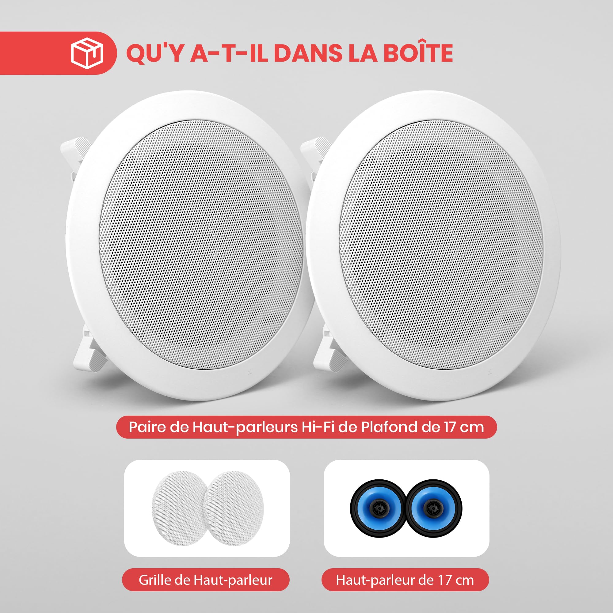 Pyle Enceinte Plafond/Murale16,5 cm-Puissance de Crête de 250 W-Son Stéréo Hi-Fi Double-Tweeter Pivotant à Dôme en Soie-Médium-Basse à Cône Poly- Enceinte Encastrable Plafond