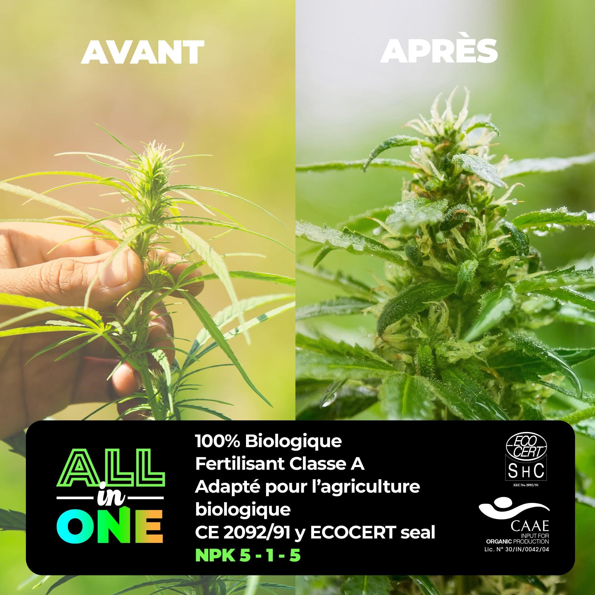 UP NUTRIENTS Fertiliser de cannabis pour intérieur et extérieur, ensemble NPK 5-1-5, pour plantes de cannabis, phase de croissance et de floraison, phase biologique Grow & Bloom