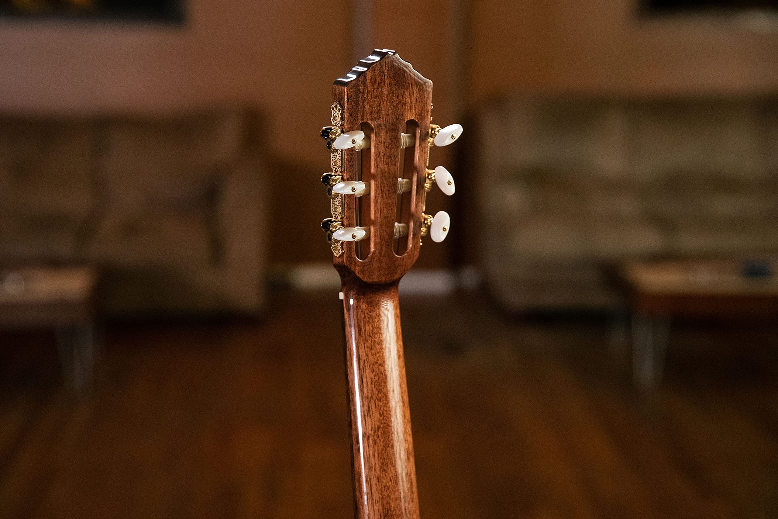 Ortega Classical Guitar Performer Series 4/4 Inclusive Custodia Manico Sottile - Natural (RCE158SN)
