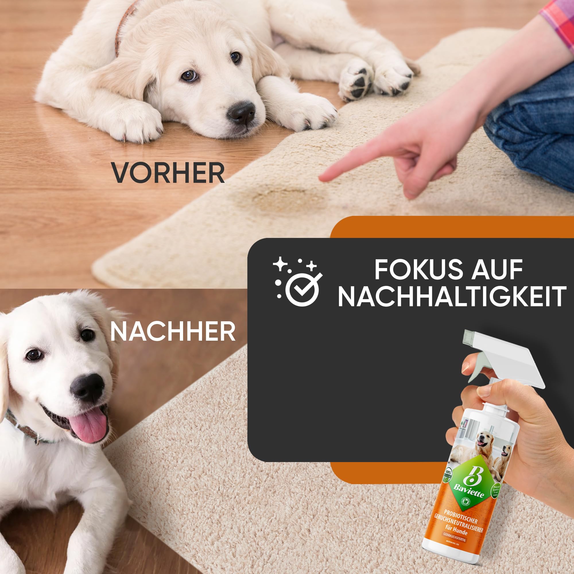 Baviette Concentré 1L – Neutralisateur d’odeurs pour foyers avec Chiens, avec Micro-organismes probiotiques naturels, sans Chlore et Doux pour Les Surfaces, pour Textiles, Meubles, Tapis et Voiture