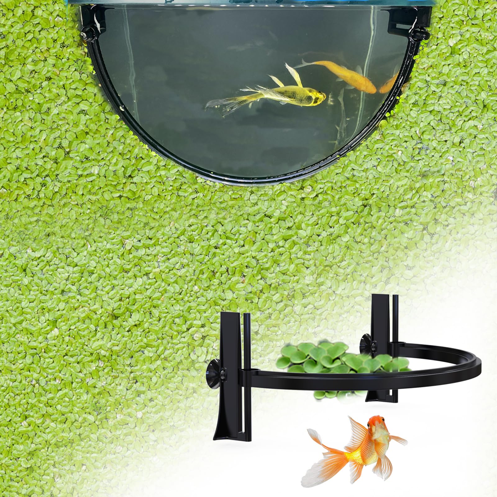 Pryitier Aquarium Floating Plant Barrier, Floating Plant Corral Self Adjusts to Water Level Fish Tank Fence Keeps the Floaters Away from the Filter