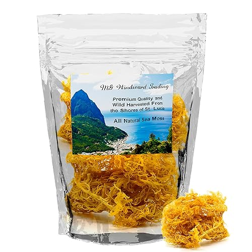 Musgo marino crudo irlandés certificado de cosechado silvestre de Santa Lucía, hace gel de 160 onzas, grado Dr.Sebi, poderosos antioxidantes,