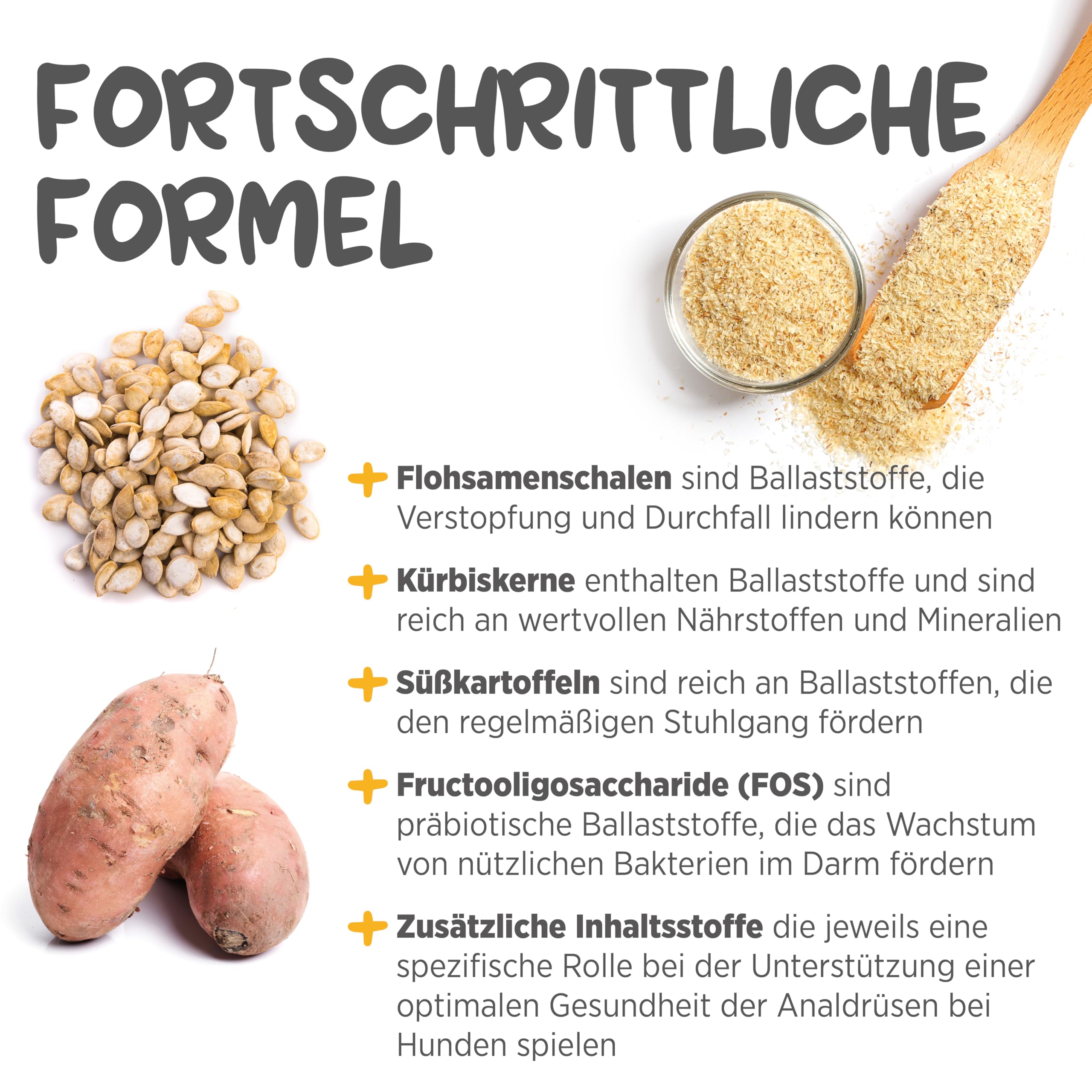 maxxipaws maxxiscoot Analdrüse & Darmgesundheit für Hunde - Nahrungsergänzungsmittel in Pulverform, 140g