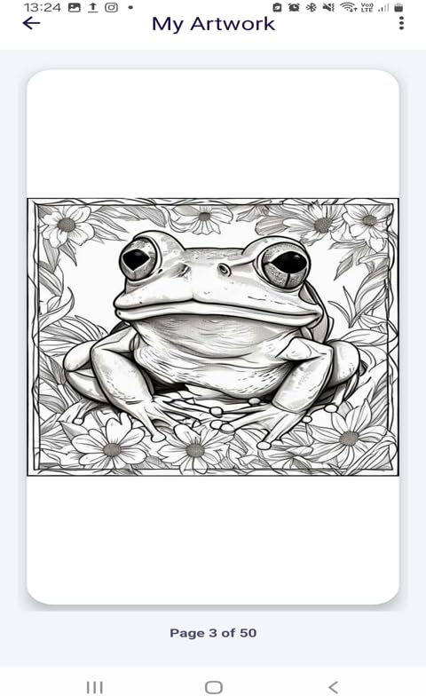 Frogs Coloring Book