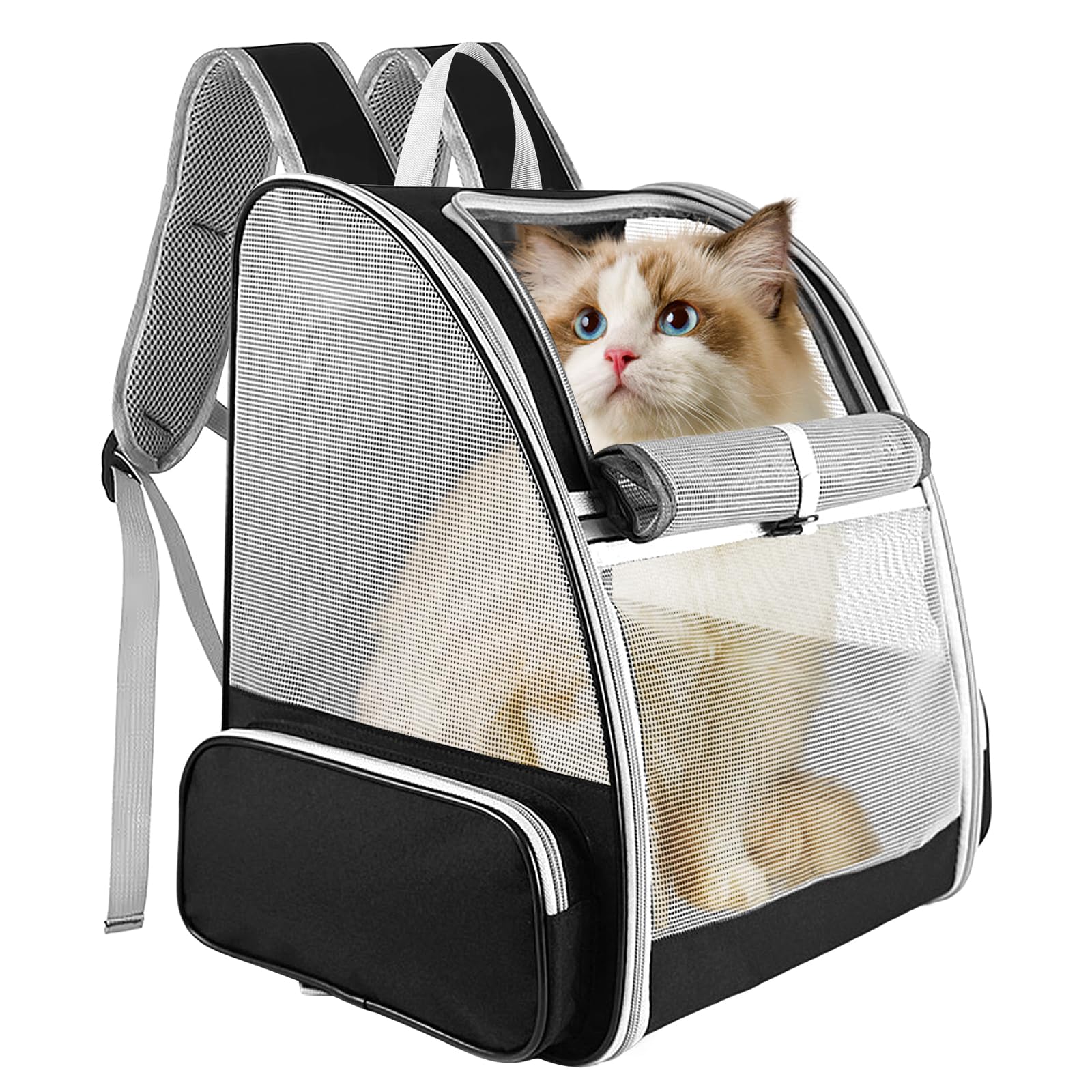 Bordeag Sac Transport Chat, Sac De Transport, Sac À Dos De Transport pour Chat Sac À Dos pour Chat Sac Dos pour Animal De Compagnie pour Voyage