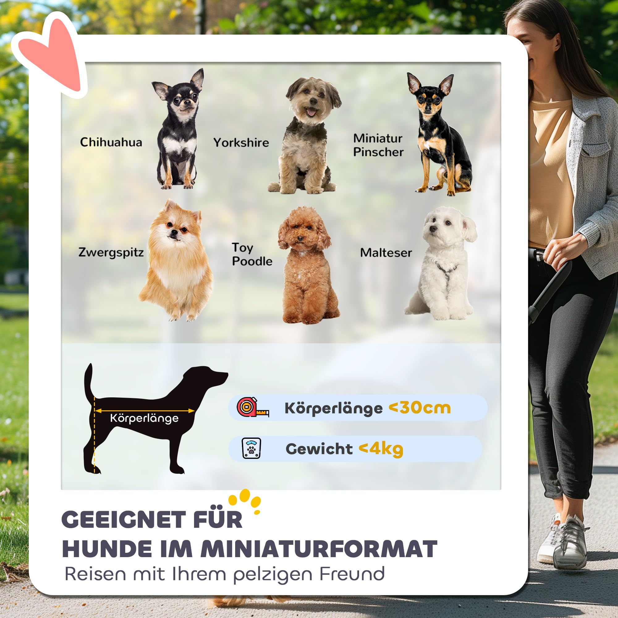 PawHut Hondenwagen, hondenbuggy, inklapbaar, voor honden en katten, kattenbuggy met netramen, schouderriem, opbergtas, bekerhouder, paraplu, kattenwagen, lichtgrijs
