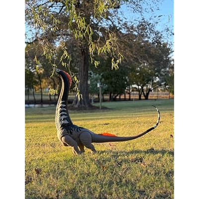 ubuy Namibia