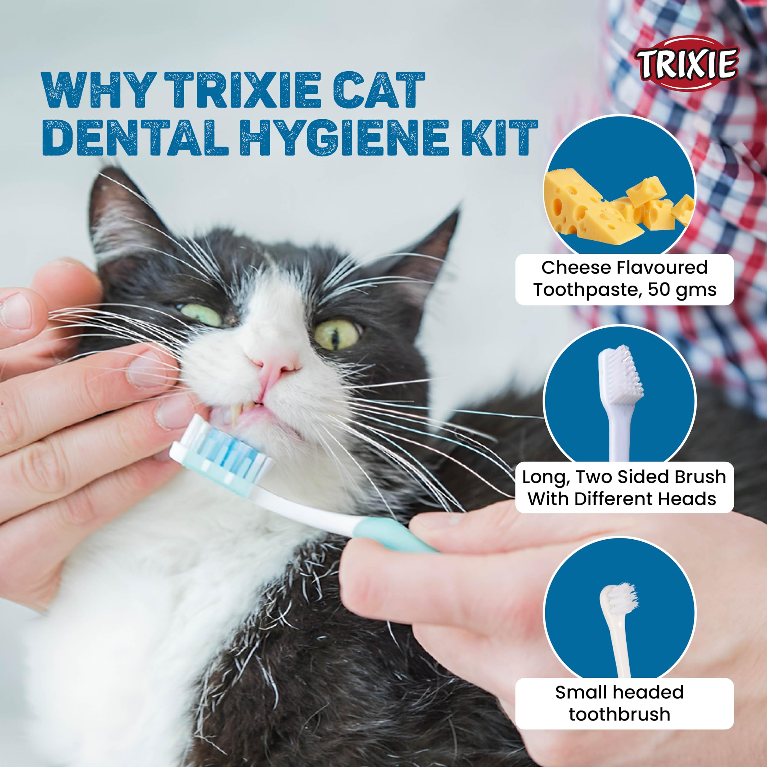 Mega Combo Pack- Cats Dental Hygiene Set - Cat Toothbrush and Toothpaste with Matatabi Chewing Stick| Made with Dried Matatabi Fruits, Supports Dental Hygiene and Cleans Teeth - 10 Gm 4