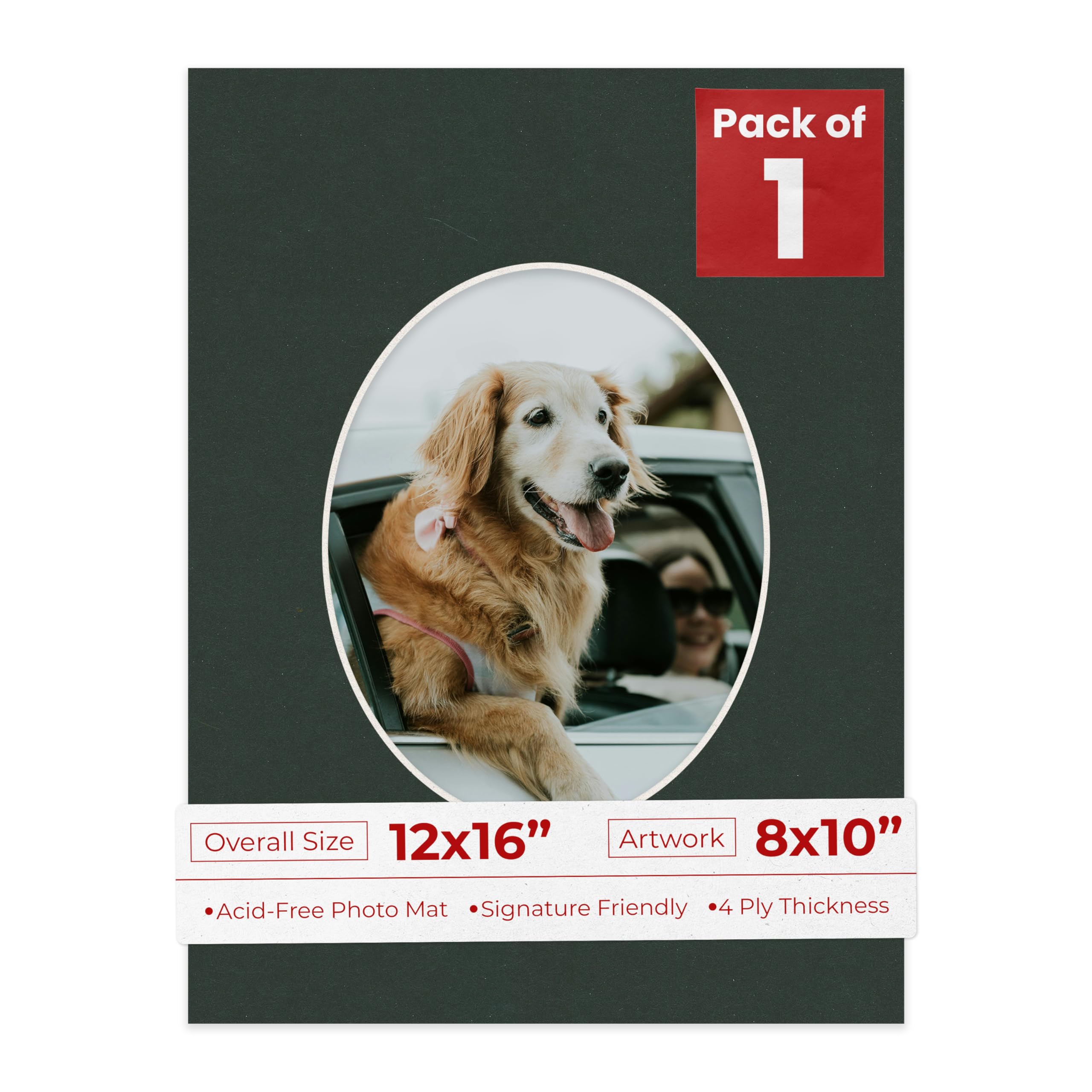 12x16 Mat Bevel Cut for 8x10 Photos - Precut Black Oval Shaped Photo Mat Board Opening - Acid Free Matte to Protect Your Pictures - Bevel Cut for Family Photos, Pack of 1 Matboard Show Kit With Acid-image-40