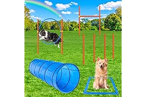 XiaZ Dog Agility Equipments, Obstacle Course Dog Training Starter Kit With 4Pcs...