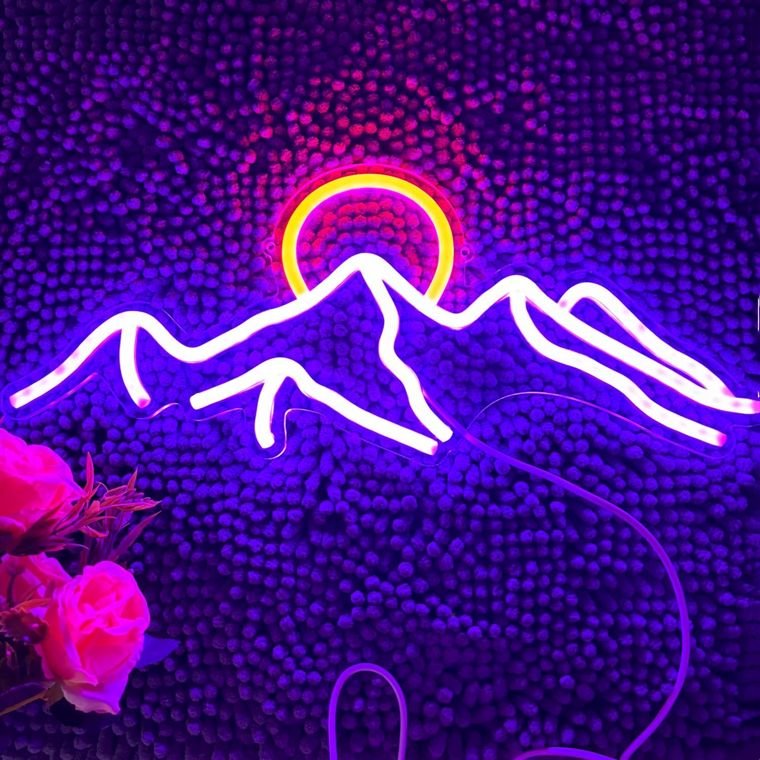 LED Neon Sign USB Powered with Dimmable Switch for Wall Decor