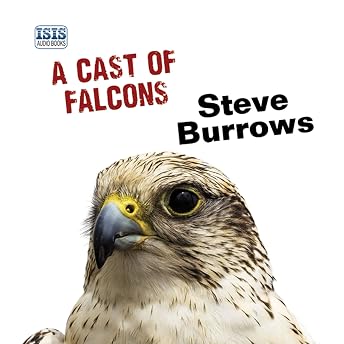 A Cast of Falcons Audiobook by Steve Burrows episode artwork