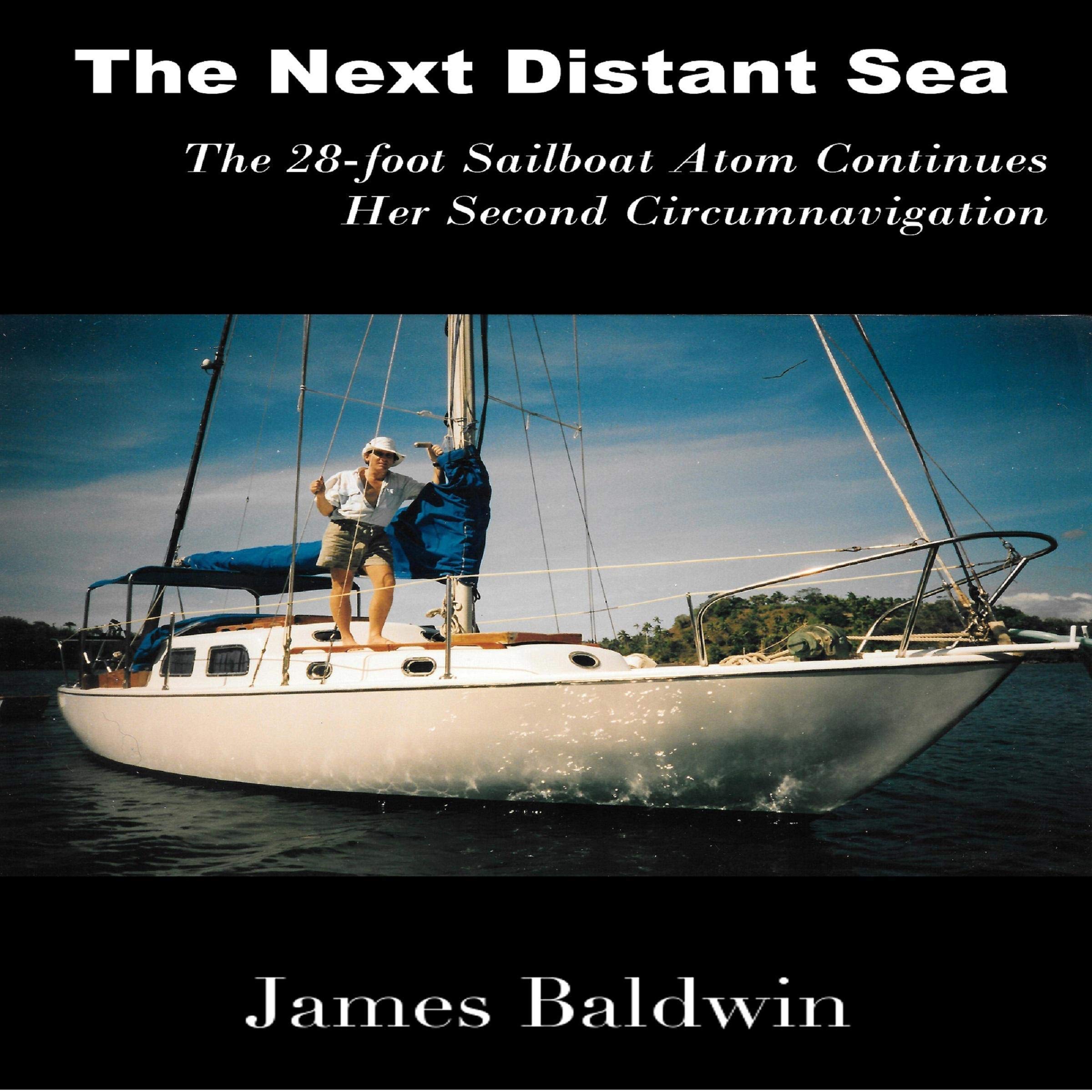 Cover art for The Next Distant Sea