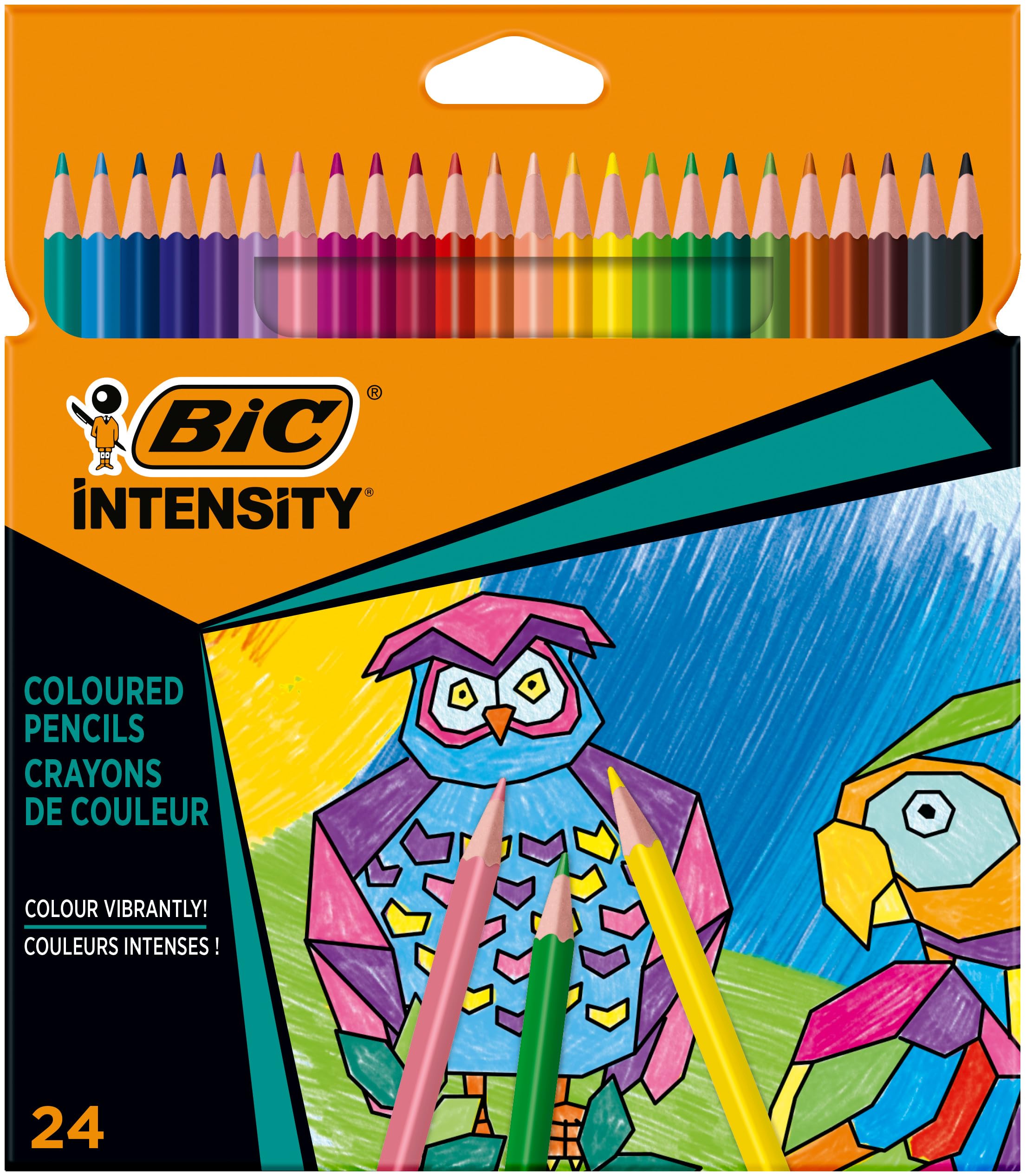 BIC Color Up Üçgen Kuru Boya Kalemi, 24'lü Kutu