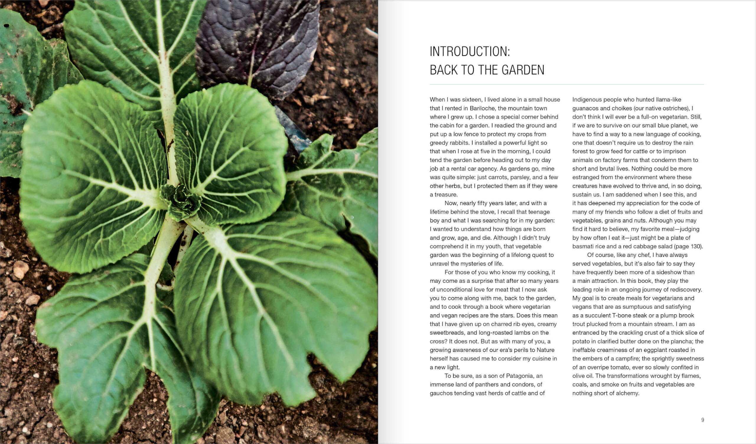 Green Fire: Extraordinary Ways to Grill Fruits and Vegetable
