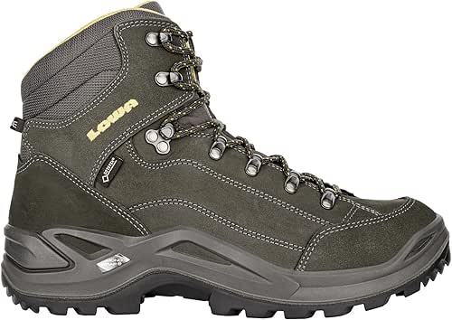 Lowa Homme Renegade GTX M Chaussures de Randonnée Hautes