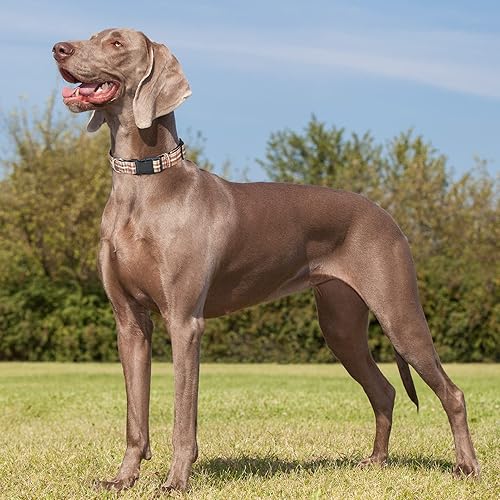 Miniatura 6 de DILLYBUD Collar para perros pequeños, medianos y grandes, collar de nailon acolchado de neopreno suave para mascotas con hebilla de liberación