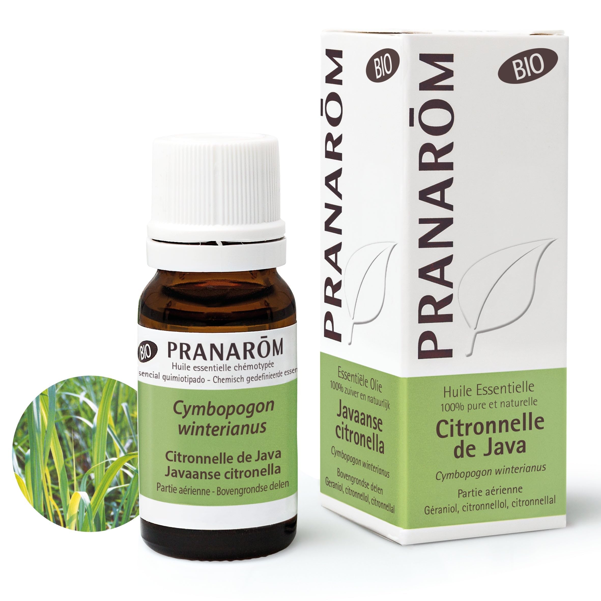 Pranarom - Aceite Esencial Citronela de Java 10 ml - Bio - 10 ml