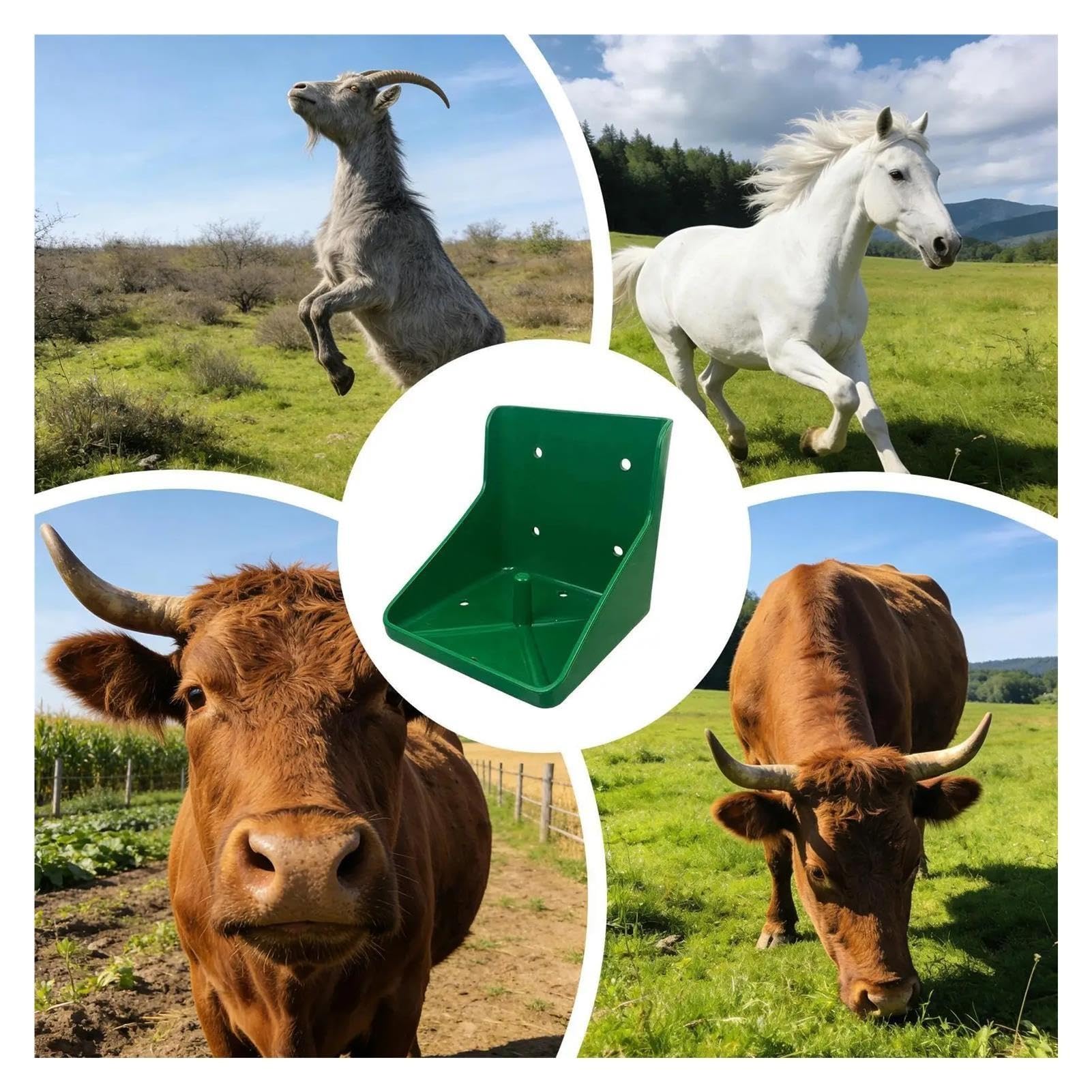 Supporto per blocco di sale, 2 pezzi, per leccare il bestiame, mangiare, mangiare, mangiare, mangiare, mangiare, mangiare, mangiare, mangiare, mangiare, mangiare, mangiare, mangiare, mangiare