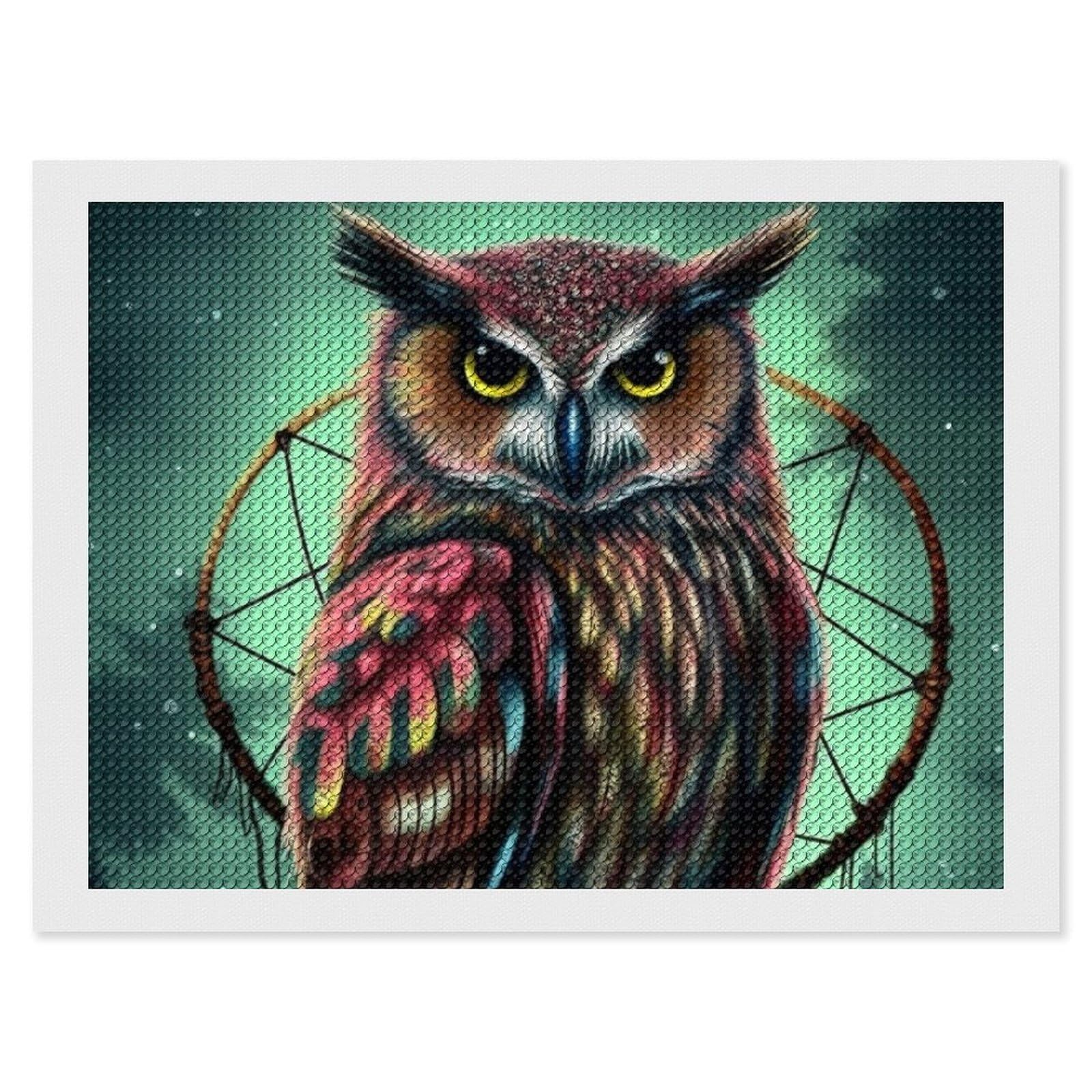 Owl Diamond Art Kits for Adults, DIY 5D Diamonds Painting Kits for Beginner, Round Full Drill Diamond Dots Painting, 12"x16" Diamonds Pictures Gem Art and Crafts Wall Decor