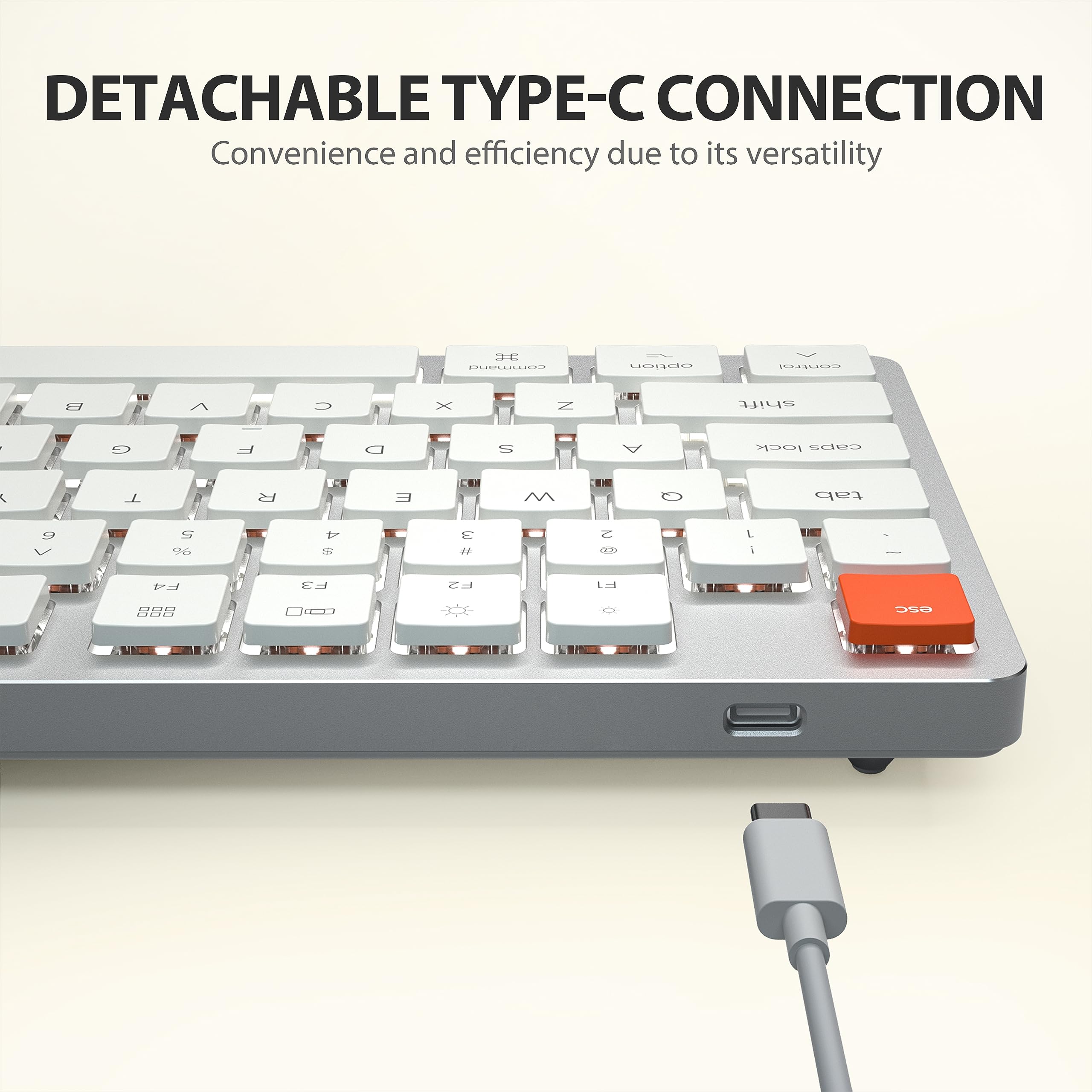 希少 Apple Adjustable Keyboard USA Version 希少 Apple Adjustable Keyboard USA Version Apple Adjustable