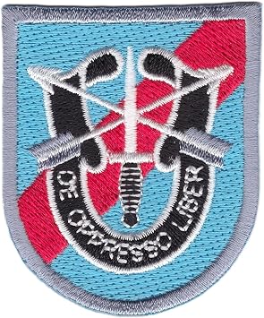 20th Special Forces Group Airborne Flash Collectible Novelty Patch with Crest