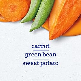 Gerber Stage 1 Baby Food, Veggie Variety Pack Puree Tubs, Baby Puree, 2PK