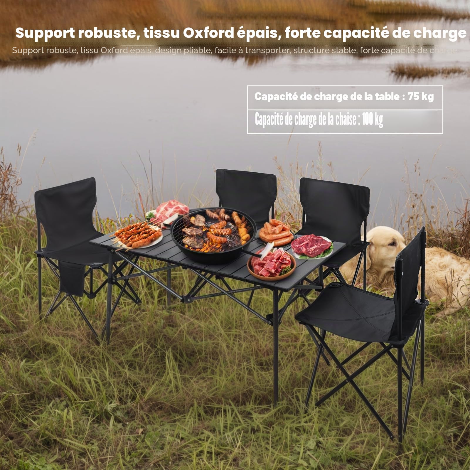 Ensemble table et chaises de camping pliantes robustes, table et chaises de pique-nique pliantes, chaise d'extérieur avec capacité de charge de 75 kg/100 kg, tissu Oxford résistant aux intempéries et