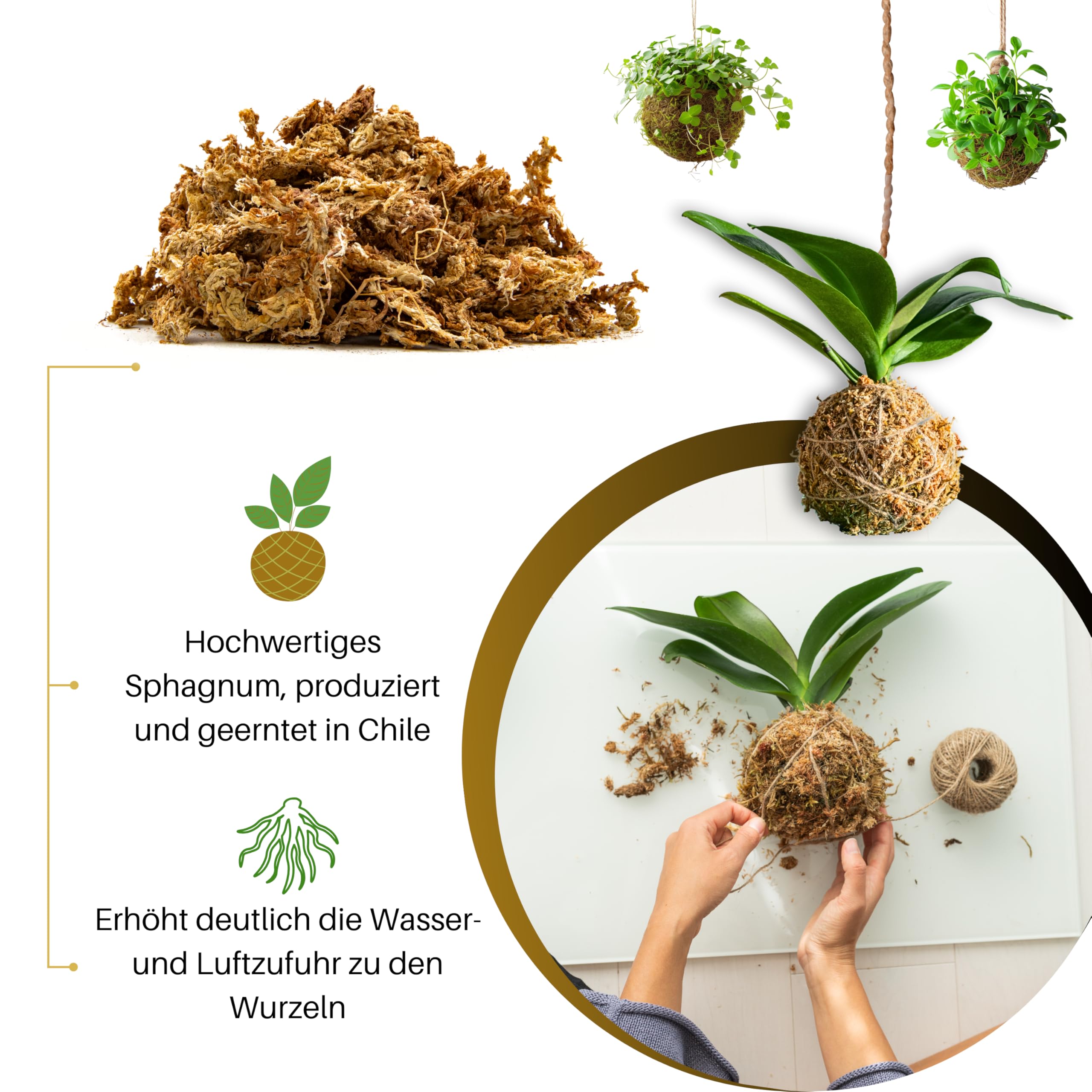 rankhilfe aus bambus Bambus-Rankgitter | Ausziehbar main image 1
