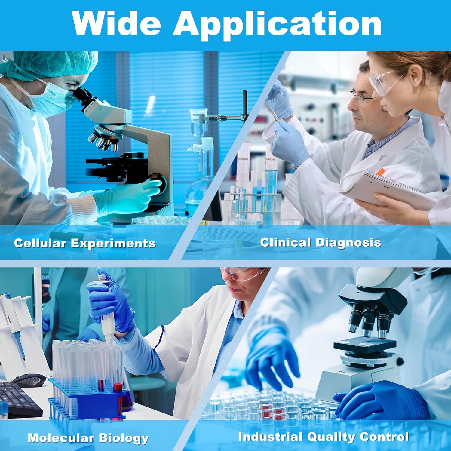 Western Blot Transfer Buffer (10×), WTB for Western Blot Analysis, 500mL/Bottle, 2 Bottles/Box