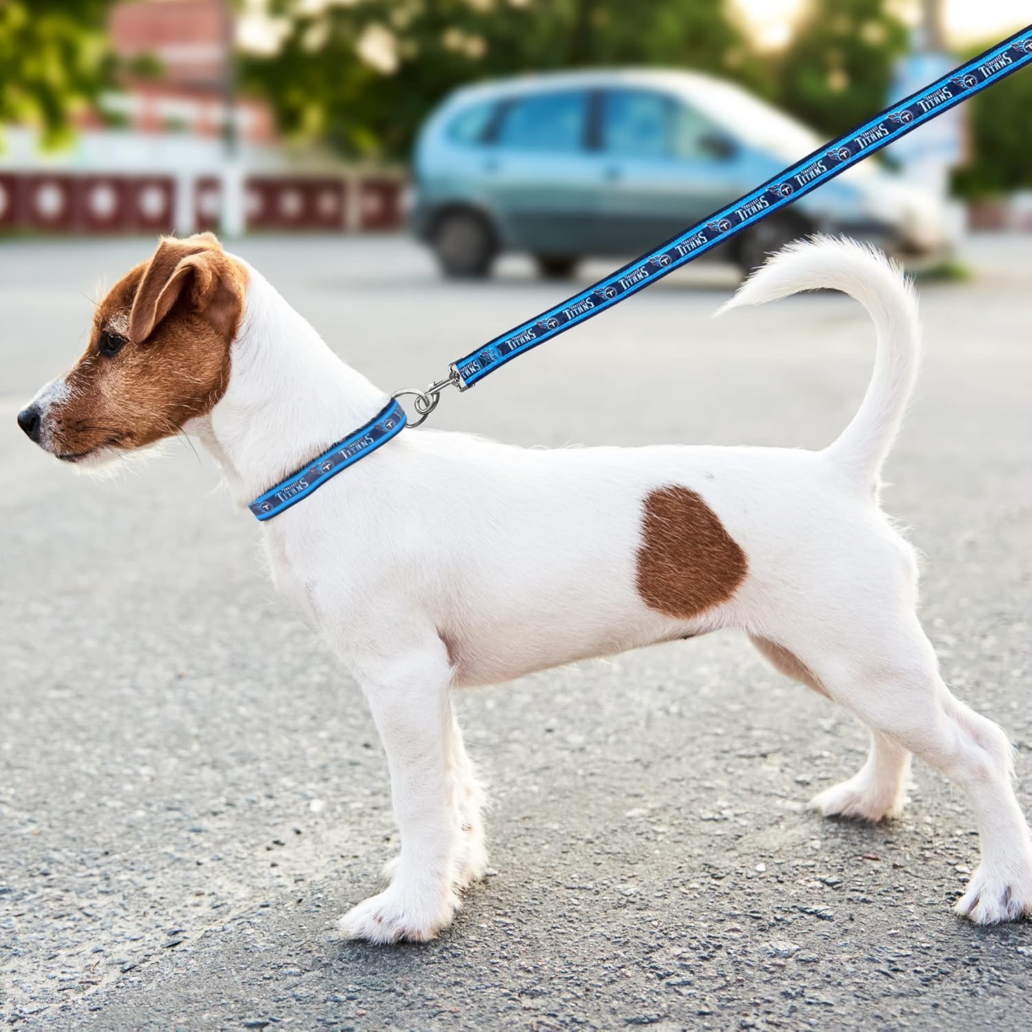 NFL PET Tennessee Titans Dog Leash, Medium Football Team Leash for Dogs & Cats - Shiny & Colorful, Licensed by The NFL