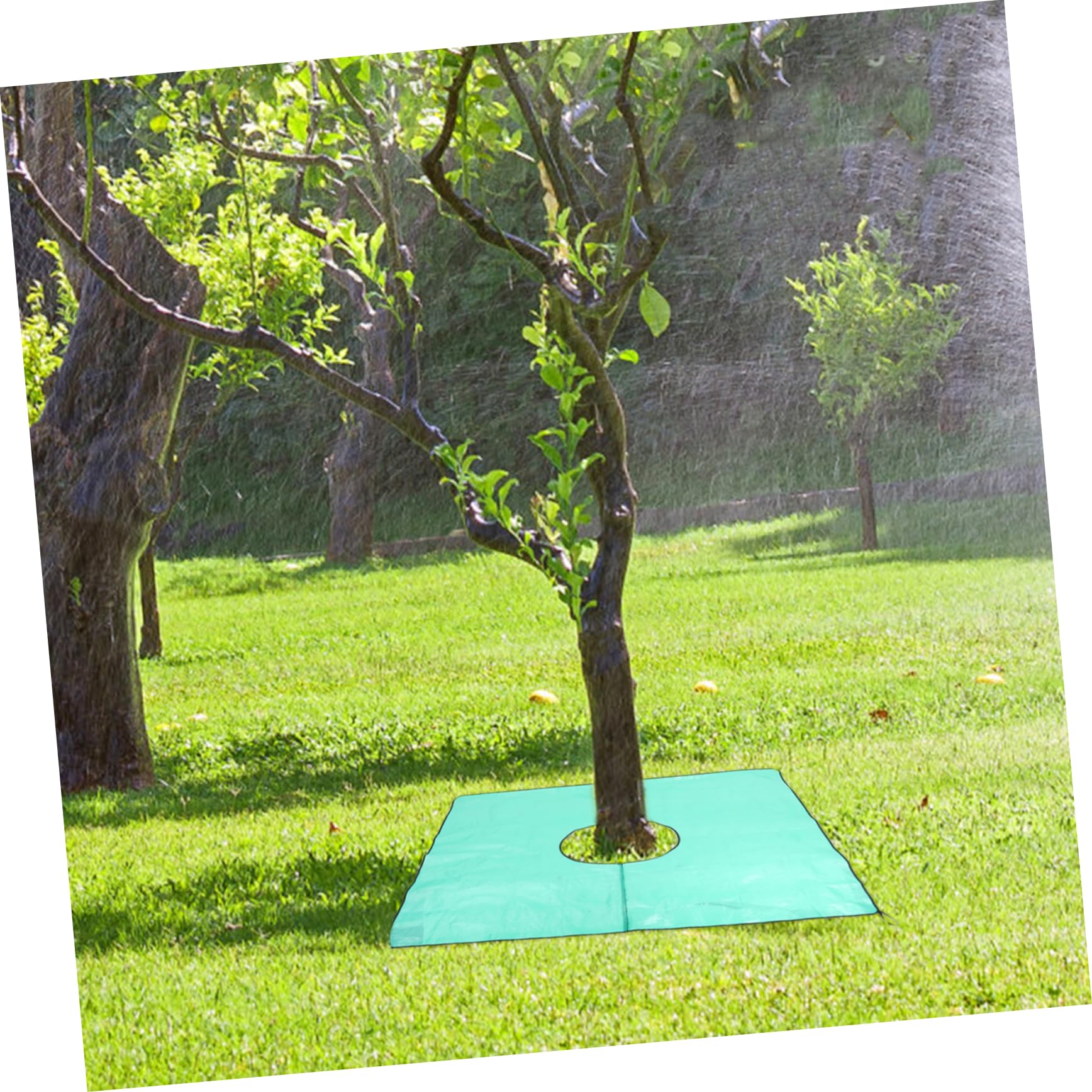 Lona Recolectora de Hojas para Podar Árboles con Orificio 60 Cm