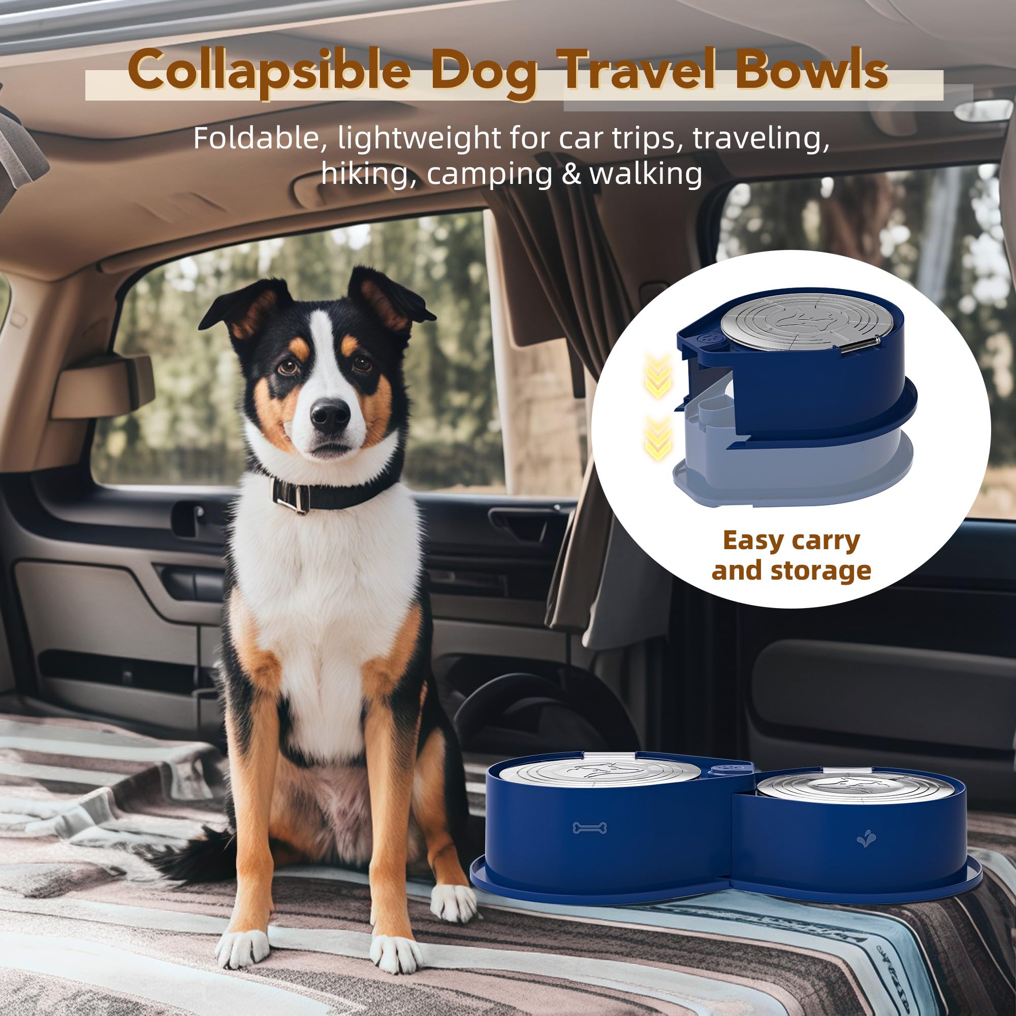 Cuenco doble de acero inoxidable para mascotas con tapa, gran capacidad, perros y gatos, color azul