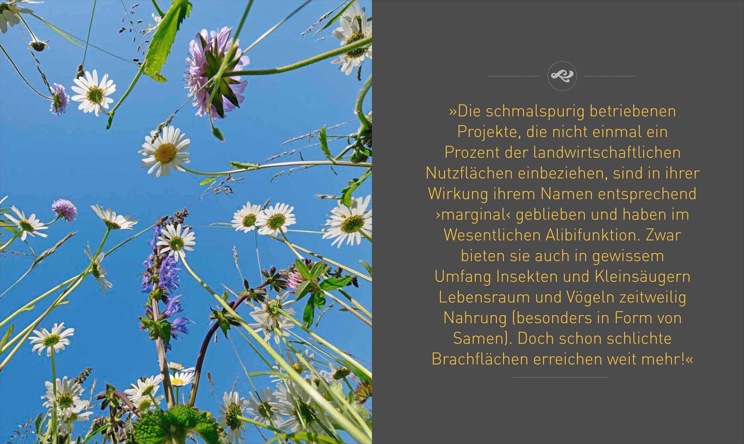 Bildband: Unsere Zukunft braucht Natur. Artenvielfalt: Die Garantie für unser Überleben: Was wir noch tun können – die letzte Chance für unsere geschundene Erde. Ein Bildband zum Thema Artenschutz.