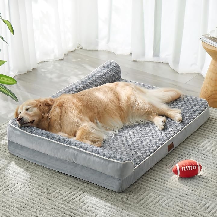 Transparent editorial object representing Lifestyle