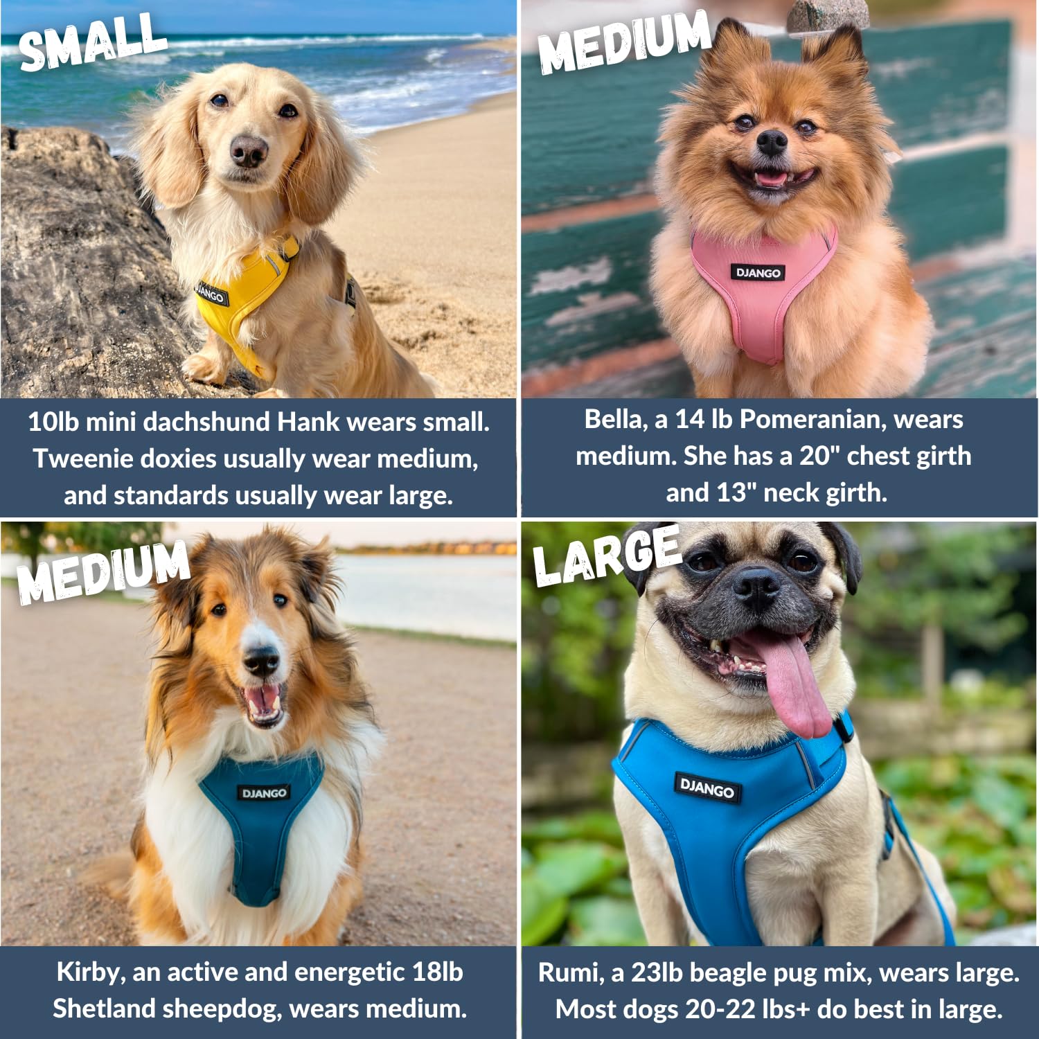 DJANGO Adventure Hundegeschirr - Bequemes, strapazierfähiges und reflektierendes Neopren Hundegeschirr für Outdoor-Abenteuer und Alltag - Verstellbares Design mit massiven Messingbeschlägen (Medium