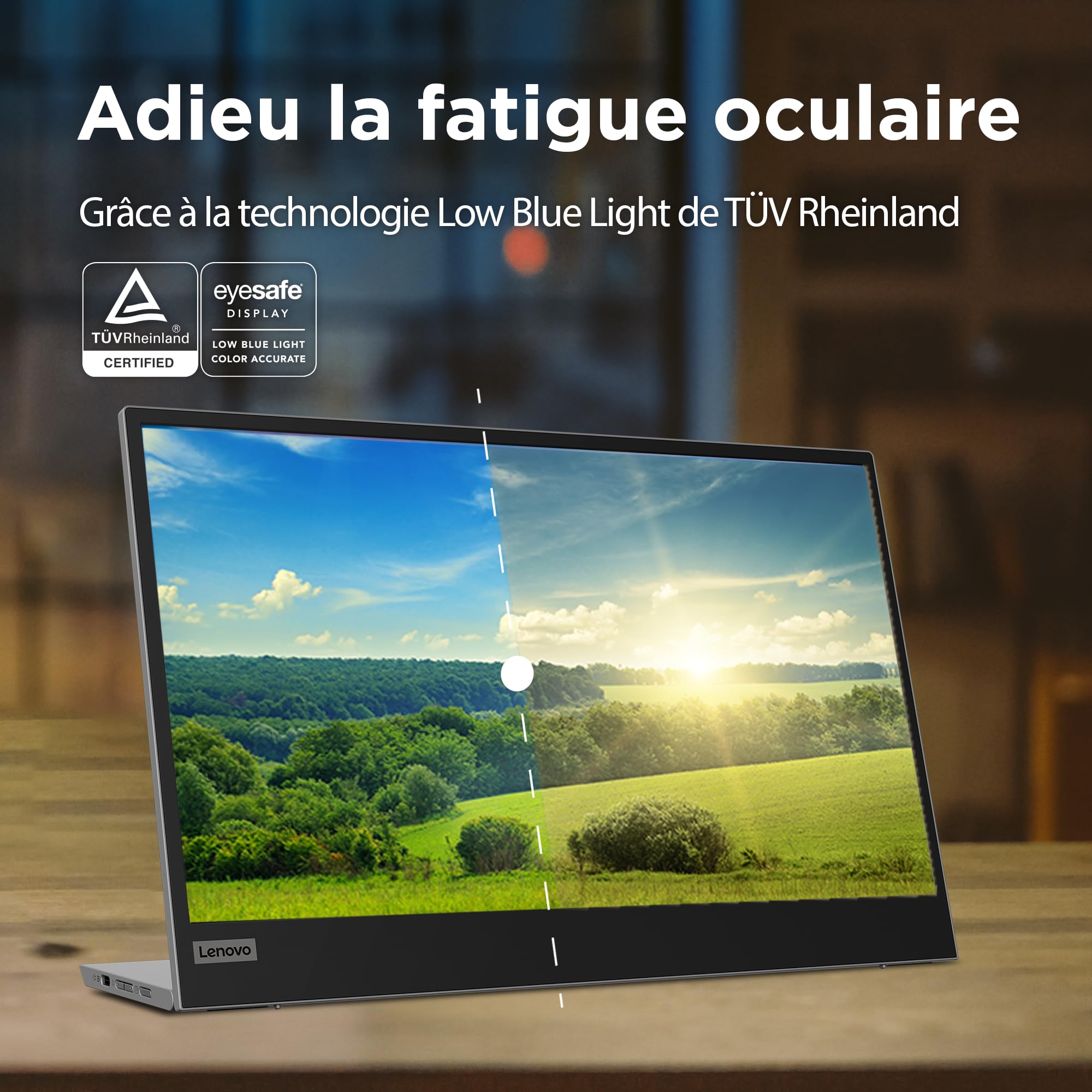 Lenovo L15(A21156FX0) Moniteur Portable, écran 15,6" (Full HD, IPS, 60 Hz, 6 ms, entrée 2 x USB-C, câble vers USB-C, réglable en Inclinaison) - Gris