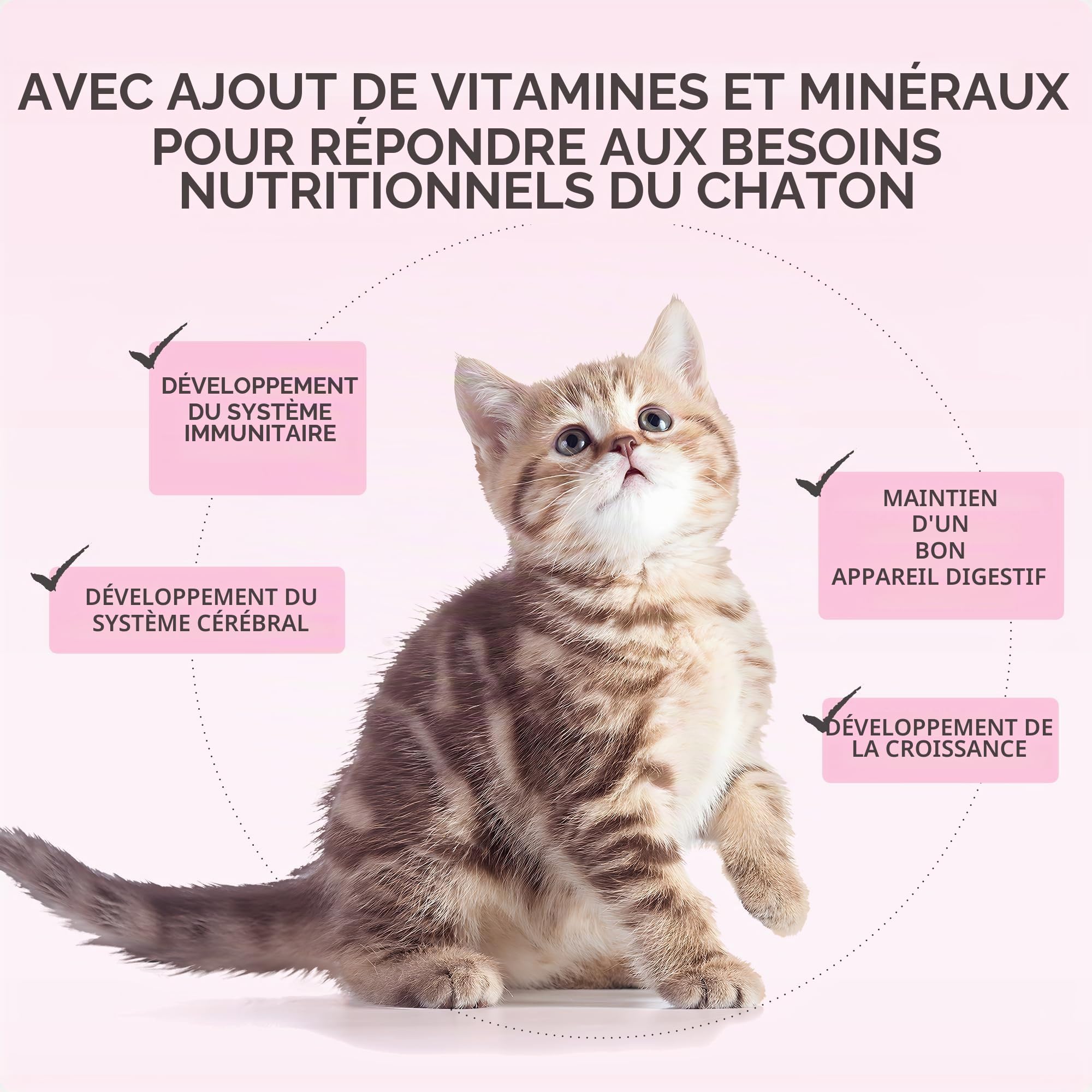 Schesir Baby, goût Poulet et Saumon, Nourriture Humide complète pour Chatons avec DHA et Taurine (12 boîtes de 70 g)